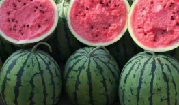 718娱乐吃瓜爆料不打烊,吃瓜不打烊，娱乐圈幕后故事大揭秘